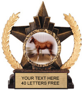 Insert Holder Star Resin Trophy [6 inch]