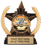 Insert Holder Star Resin Trophy [6 inch]