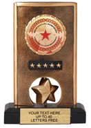 Custom Insert Spinning Resin Trophy