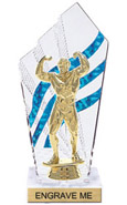 8 inch Clear with Blue Stripes Diamond Backdrop Trophy