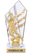 8 inch Clear with Gold Stripes Diamond Backdrop Trophy