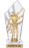 8 inch Clear with Gold Stripes Diamond Backdrop Trophy