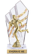 8 inch Clear with Gold Stripes Diamond Backdrop Trophy