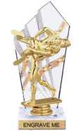 8 inch Clear with Gold Stripes Diamond Backdrop Trophy