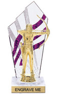 8 inch Clear with Purple Stripes Diamond Backdrop Trophy