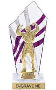 8 inch Clear with Purple Stripes Diamond Backdrop Trophy