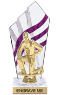 8 inch Clear with Purple Stripes Diamond Backdrop Trophy