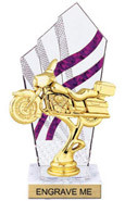 8 inch Clear with Purple Stripes Diamond Backdrop Trophy