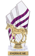 8 inch Clear with Purple Stripes Diamond Backdrop Trophy