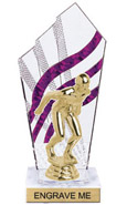 8 inch Clear with Purple Stripes Diamond Backdrop Trophy