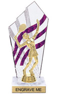 8 inch Clear with Purple Stripes Diamond Backdrop Trophy