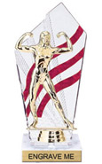 8 inch Clear with Red Stripes Diamond Backdrop Trophy