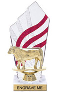 8 inch Clear with Red Stripes Diamond Backdrop Trophy