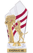 8 inch Clear with Red Stripes Diamond Backdrop Trophy