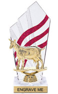 8 inch Clear with Red Stripes Diamond Backdrop Trophy
