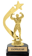 Gold Shooting Star Backdrop Trophy [8 inch]