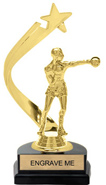 Gold Shooting Star Backdrop Trophy [8 inch]
