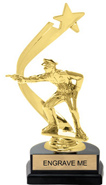 Gold Shooting Star Backdrop Trophy [8 inch]