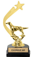 Gold Shooting Star Backdrop Trophy [8 inch]