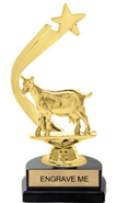Gold Shooting Star Backdrop Trophy [8 inch]