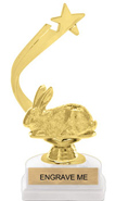 Gold Shooting Star Backdrop Trophy [8 inch]