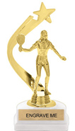 Gold Shooting Star Backdrop Trophy [8 inch]