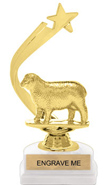 Gold Shooting Star Backdrop Trophy [8 inch]