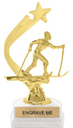Gold Shooting Star Backdrop Trophy [8 inch]