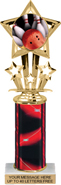 10.5 inch Shooting Star Color Insert Trophy w/ Column