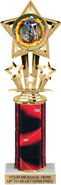 10.5 inch Shooting Star Color Insert Trophy w/ Column