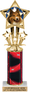 10.5 inch Shooting Star Color Insert Trophy w/ Column