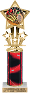 10.5 inch Shooting Star Color Insert Trophy w/ Column