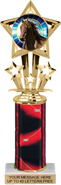 10.5 inch Shooting Star Color Insert Trophy w/ Column