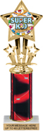 10.5 inch Shooting Star Color Insert Trophy w/ Column