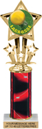 10.5 inch Shooting Star Color Insert Trophy w/ Column