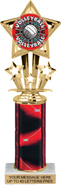 10.5 inch Shooting Star Color Insert Trophy w/ Column