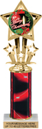10.5 inch Shooting Star Color Insert Trophy w/ Column