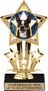 7 inch Shooting Star Color Insert Trophy