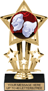 7 inch Shooting Star Color Insert Trophy