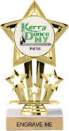 7 inch Shooting Star Custom Insert Trophy