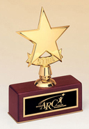 Polished Metal Star on Rosewood Piano-Finish Base [5 x 7.5 inch]