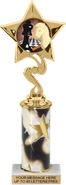 10.5 inch Star Color Insert Trophy w/ Column