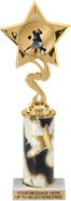 10.5 inch Star Color Insert Trophy w/ Column