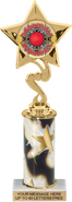 10.5 inch Star Color Insert Trophy w/ Column