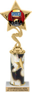 10.5 inch Star Color Insert Trophy w/ Column