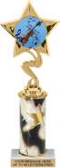 10.5 inch Star Color Insert Trophy w/ Column