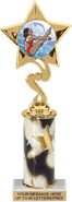 10.5 inch Star Color Insert Trophy w/ Column