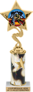 10.5 inch Star Color Insert Trophy w/ Column