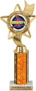 10.5 inch Color Insert Trophy w/ Column