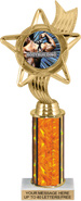 10.5 inch Color Insert Trophy w/ Column